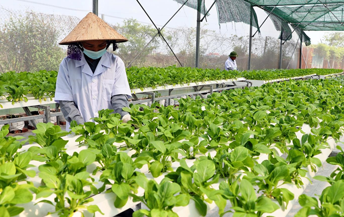 Công nghệ giúp nâng giá trị sản xuất nông nghiệp