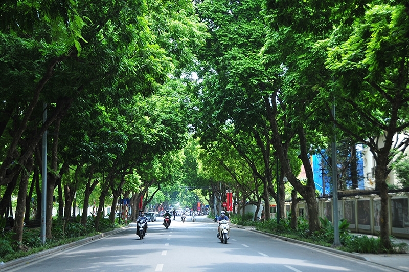 Bắc Bộ trời nắng, Trung Bộ mưa dông cục bộ