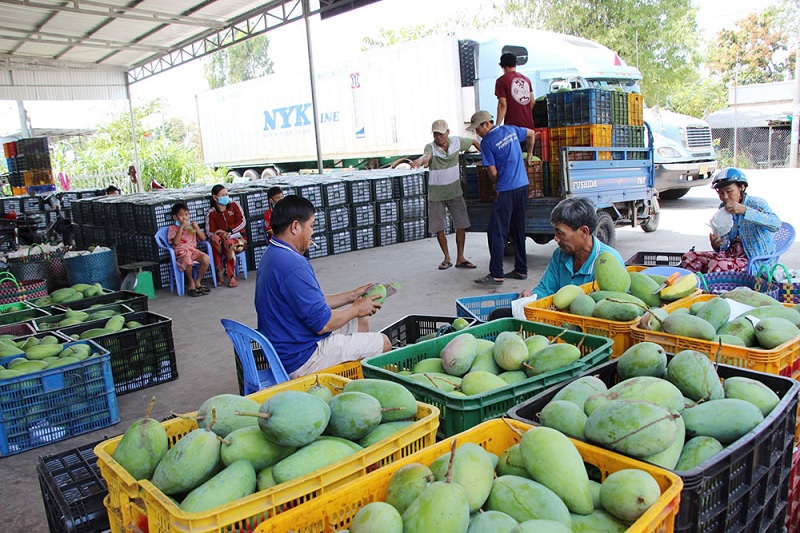 Thương mại điện tử thúc đẩy kinh tế khu vực biên giới, miền núi