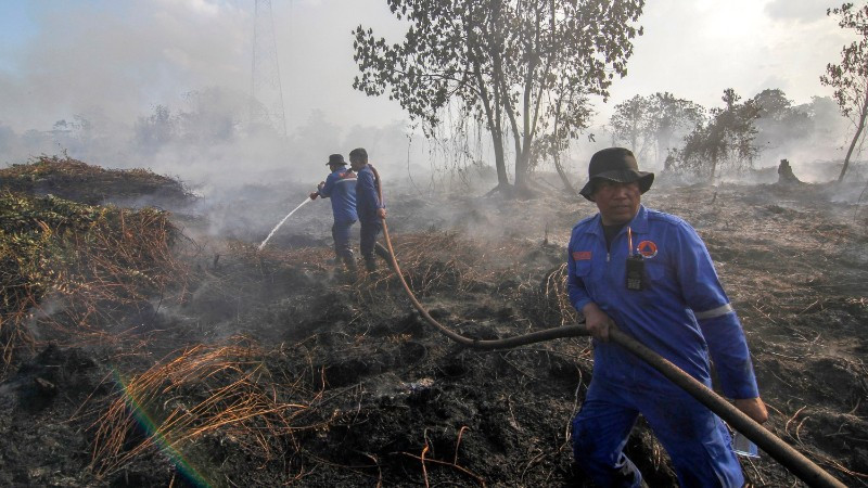 Indonesia tăng cường bảo vệ rừng