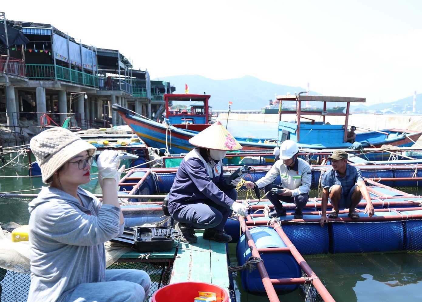 Kết quả phân tích mẫu cá chết bất thường tại khu vực biển Hà Tĩnh 