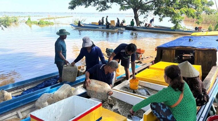 Nâng cao hiệu quả kinh tế từ mô hình nuôi trữ cá mùa nước nổi