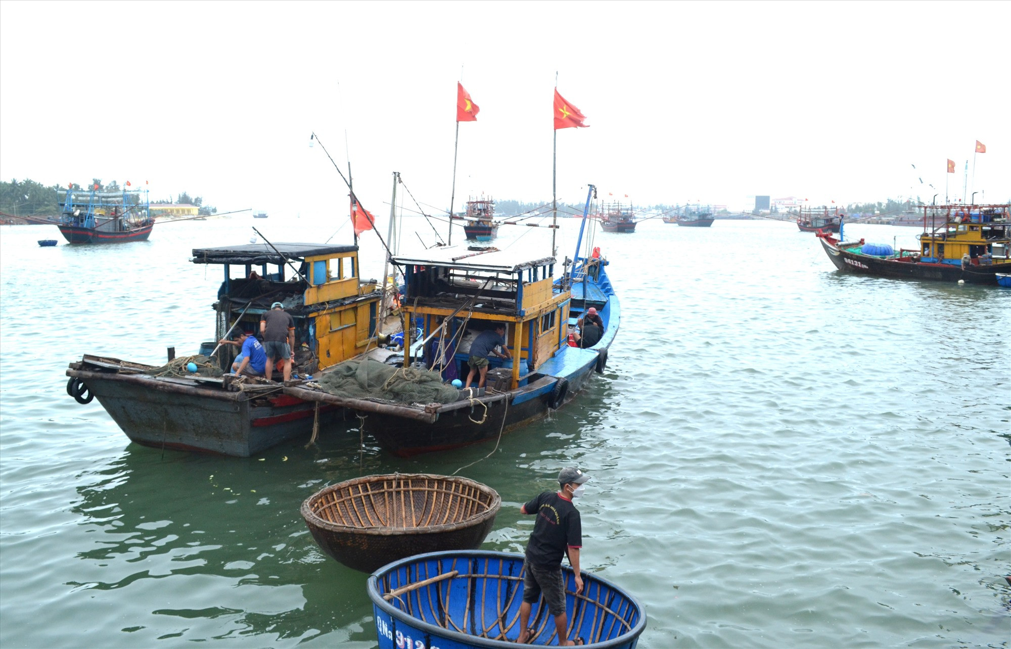 Nhân rộng mô hình đồng quản lý, bảo vệ và phát triển nguồn lợi thủy sản