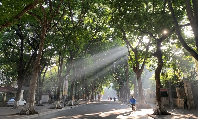 Bắc Bộ ngày nắng, Trung Bộ mưa dông
