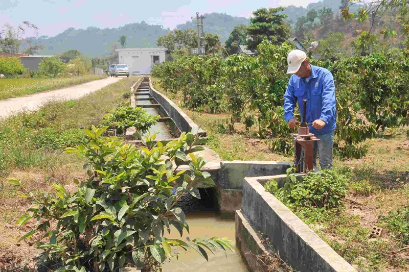 Đánh giá khả năng tích trữ nguồn nước trước nguy cơ khô hạn diện rộng