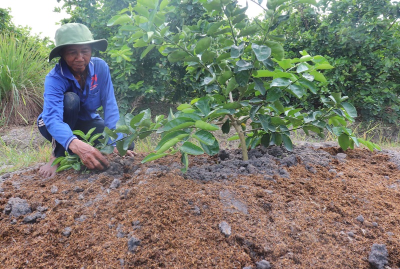 Thúc đẩy sản xuất, sử dụng hiệu quả phân bón hữu cơ