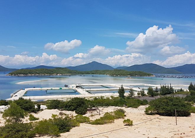 Quay cuồng trong cơn sốt đất: “Tháo ngòi” đất Bắc Vân Phong