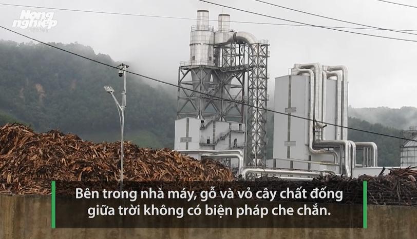 Lợi dụng mưa lũ, Công ty MDF Thanh Thành Đạt xả thải ra môi trường?